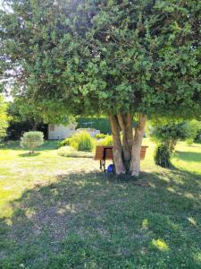 Zahrada ubytování La petite parenthèse