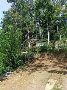 a house on the side of a dirt road at Hiruni Cottage Ella in Ella