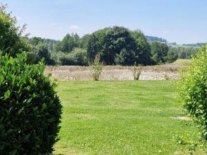 a field of green grass with trees in the background at Burgblick in Kemnath +2 photos