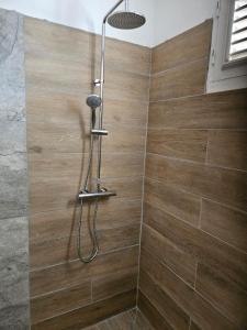 a shower with a shower head in a bathroom at Beautiful sea view building in Le Robert +31 photos