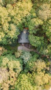 Peisaj natural din apropierea acestei case de vacanță +66 fotografii