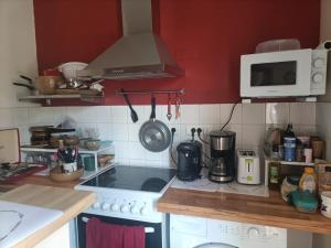una cucina con fornelli e microonde di Le Cheval Blanc La Chartre sur le Loir a La Chartre-sur-le-Loir