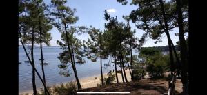a view of a beach with trees and water at Maisonnette in Arès