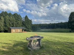 a fire pit in the middle of a field at Poilsio Pieva in Ąžuolų Būda