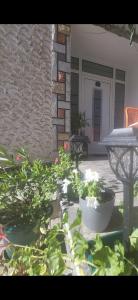 Vrnjačka BanjaにあるApartmani Nanaの建物前の鉢植えのパティオ +34枚の写真