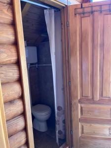 a bathroom with a toilet in a wooden cabin at Wooden house in Šavnik