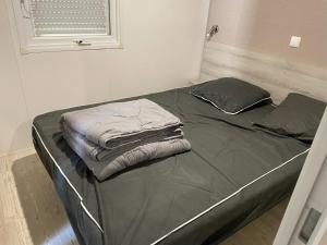 Postel nebo postele na pokoji v ubytování Mobil-Home 40 M2 Camping SIBLU La Carabasse