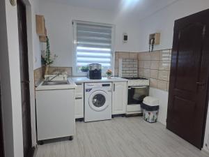 a kitchen with a washing machine and a sink at Căsuța Piatra Craiului in Zărneşti +34 photos