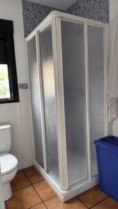 a bathroom with a shower and a toilet at A Devesa in Noya