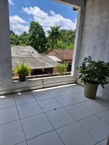 Un balcón vacío con plantas en macetas y una ventana. en Casa aconchegante, en Ananindeua