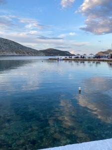 Φυσικό τοπίο κοντά σε αυτό το διαμέρισμα +43 φωτογραφίες