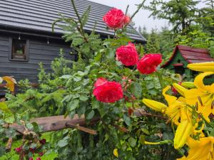 Ảnh trong thư viện ảnh của Beskidzka Ostoja ở Koszarawa