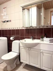 a bathroom with a toilet and a sink and a mirror at Fir & Flame Lodge in Rovaniemi +14 photos