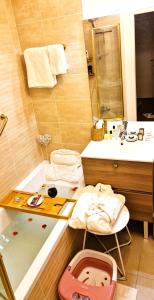 a bathroom with a bath tub and a sink at Alpine Arve Get'Away in Cluses