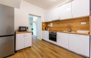 Η κουζίνα ή μικρή κουζίνα στο Lovely Home In Zlobin With Sauna
