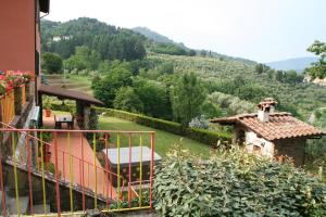 Paesaggio naturale nelle vicinanze della villa