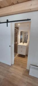 ドゥサールにあるAppartement 4 personnes avec mezzanine 100 metres du lacの洗面台と鏡のあるバスルーム