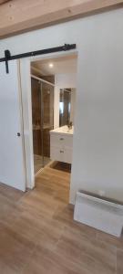 ドゥサールにあるAppartement 4 personnes avec mezzanine 100 metres du lacの洗面台と鏡のあるバスルーム +1枚の写真