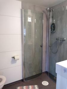 una doccia con una porta in vetro in un bagno di Tiny house in scenic surroundings a Farsund