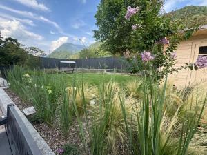 a garden with tall grass and purple flowers at Sisila Locazione in Vittorio Veneto