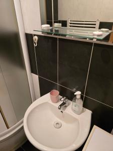 Ένα μπάνιο στο Gold apartman Veliko Gradiste +4 φωτογραφίες