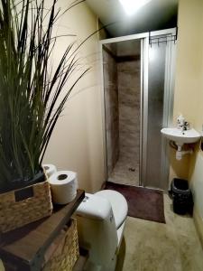 a bathroom with a toilet and a shower and a sink at Ozolsala in Mazdzerkaļi +23 photos