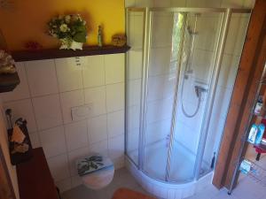 a bathroom with a shower and a toilet at Grüne Oase mit Terrasse in Appel