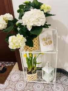Gambar di galeri bagi Airport Flower Home di Marina Julia +1 gambar