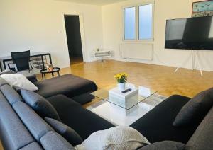 a living room with a couch and a tv at Exklusives Apartment mit traumhaftem Seeblick & Balkon in Rorschach