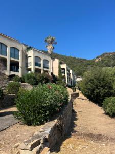 Un edificio con una palmera y algunos arbustos. en Duplex F4-2 balcons face a la mer, en Ajaccio