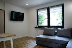 TV a/nebo společenská místnost v ubytování Lipowa Apartamenty B + 7 fotografií