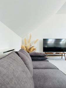a living room with three gray couches and a tv at Strzyzewo Witkowskie Luxury Apartment in Strzyżewo Witkowskie