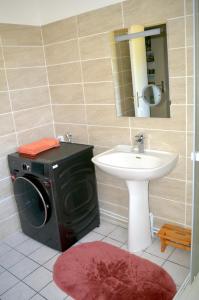ein Badezimmer mit Waschmaschine und Waschbecken in der Unterkunft Le Gîte du Hérisson, Gîte de charme et de confort in Le Menoux + 16 Fotos