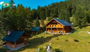 an aerial view of a wooden house on a hill at Vila Pui de urs 
