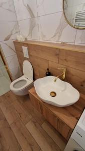 Ένα μπάνιο στο Przyjazny Apartament +21 φωτογραφίες