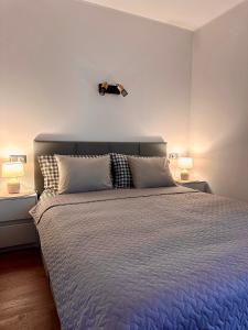 a bedroom with a bed with a guitar on the wall at Holiday home Ūdensrozes in Pērkone