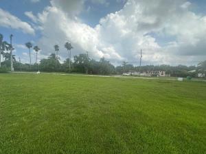 a large grass field with palm trees in the background at Farm Paradise in Homestead