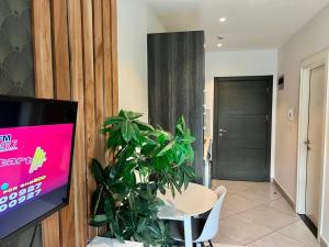 Un televizor și/sau centru de divertisment la Embassy Gardens B125