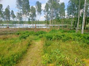 a dirt road in a field with trees and a lake at Holiday home Småland Siggamåla in Husjönäs