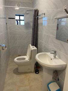 a bathroom with a toilet and a sink at Kels Place ,Runda , Chogoria , Tharaka Nithi, Kenya in Mwangarimwe +13 photos