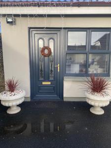 a blue door on a house with two potted plants at Castletroy Apartment in Limerick