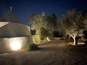 奥斯图尼Trullisetto的夜晚沙漠中树木环绕的石头建筑