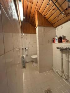 a bathroom with a shower and a toilet at Viehättävä talo Mäntässä. in Mänttä +15 photos