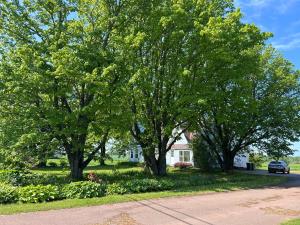 Billede fra billedgalleriet på Garden View near Confederation Bridge and Beaches i Borden-Carleton