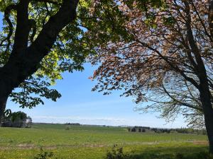 Billede fra billedgalleriet på Garden View near Confederation Bridge and Beaches i Borden-Carleton