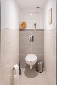 a bathroom with a white toilet in a room at Logement "Le Vôl des cigognes" in Baldenheim +17 photos