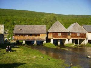 Příroda nedaleko apartmánu