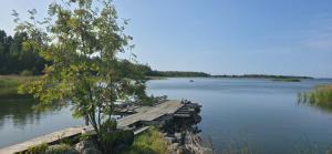 a dock on a lake with a tree on it at Merenkurkku in Molpe