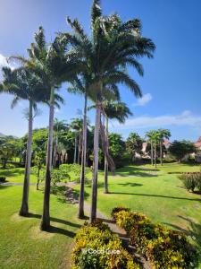 サント・リュスにあるTi Coco Luce family à Sainte Luce dans village de vacancesの公園内のヤシの木群