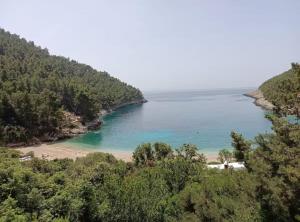 Φυσικό τοπίο κοντά σε αυτή η παραθεριστική κατοικία